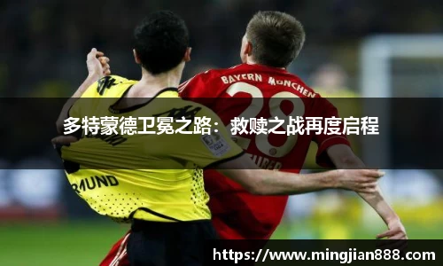 星欧娱乐下载官网