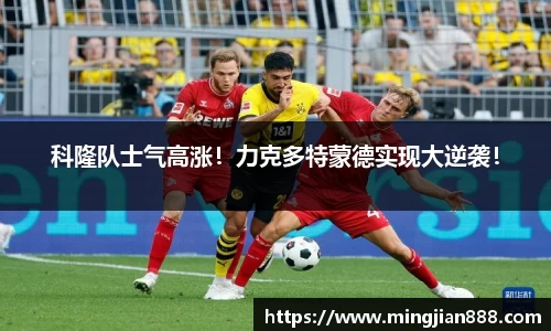 星欧娱乐下载官网