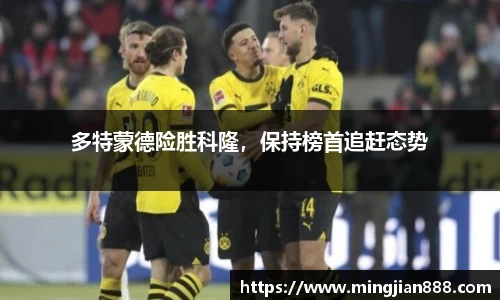 星欧娱乐下载官网