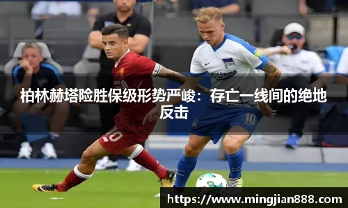 星欧娱乐登录
