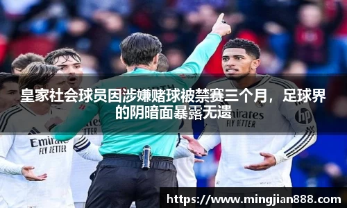 星欧娱乐下载官网