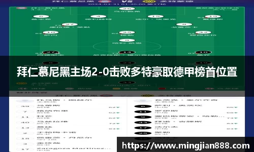 拜仁慕尼黑主场2-0击败多特豪取德甲榜首位置