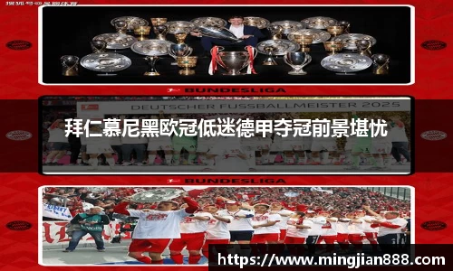 星欧娱乐下载官网