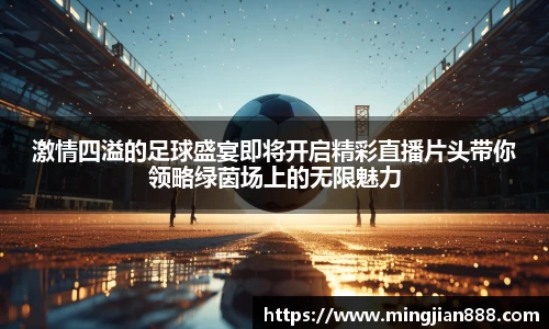 星欧娱乐下载官网