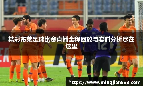 星欧娱乐登录