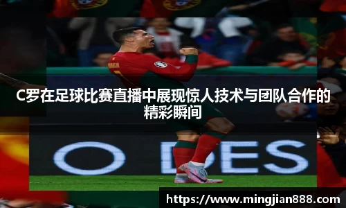 星欧娱乐