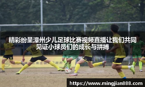 精彩纷呈漳州少儿足球比赛视频直播让我们共同见证小球员们的成长与拼搏