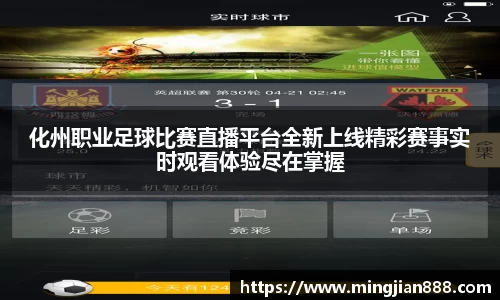 星欧娱乐