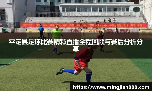星欧娱乐登录