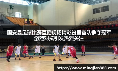 星欧娱乐